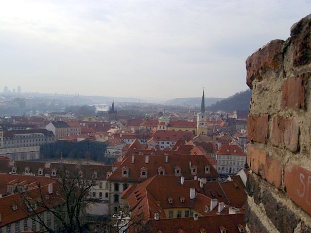 «Нас недолюбливают, но меньше, чем украинцев». Как уральские студенты выживают за границей. СПЕЦПРОЕКТ - Фото 12