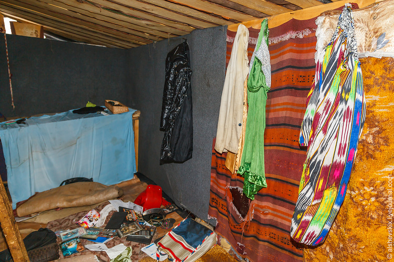 В самовольном лагере близ «Вагонника» все еще обитают мигранты - Фото 3