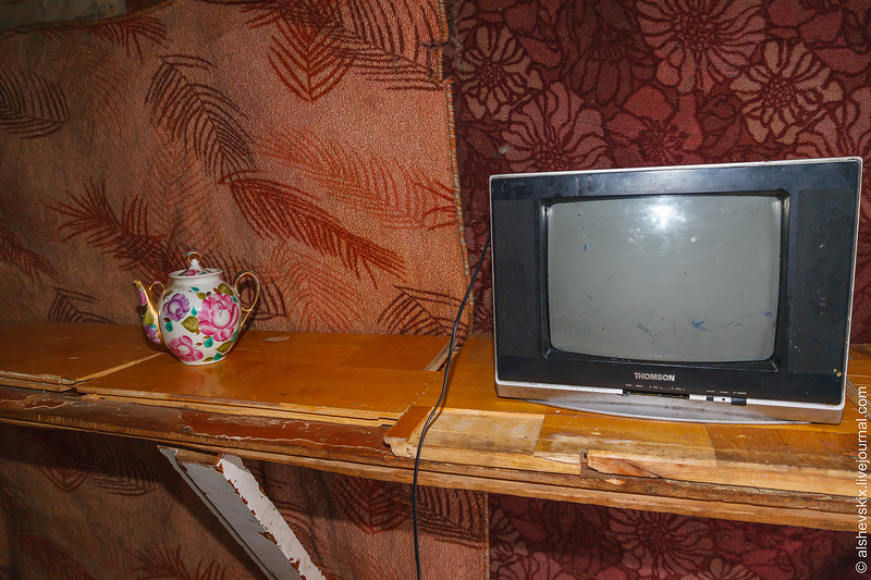 В самовольном лагере близ «Вагонника» все еще обитают мигранты - Фото 4