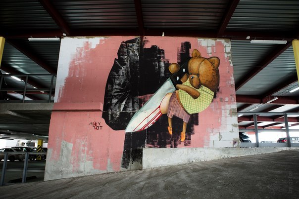 Жильцы дома на Попова пригрели «уличного» енота - Фото 3