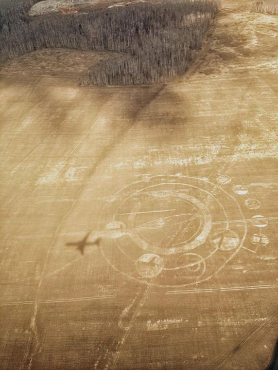 «Путин крут». В Екатеринбурге инопланетяне выступили в поддержку президента - Фото 2