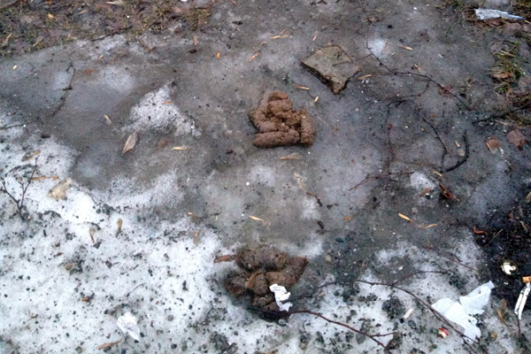 И это все …овно! Весна обнажила одну из самых неприглядных проблем Екатеринбурга - Фото 9