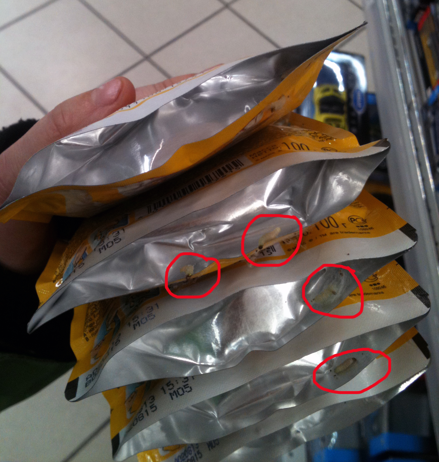 В «Перекрестке» екатеринбурженка обнаружила в коробке с кормом для собак личинок - Фото 2