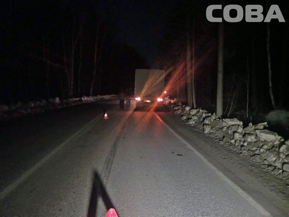 Возле Ганиной Ямы отчаянный пешеход попытался перебежать дорогу перед фурой, но не успел. ФОТО - Фото 2