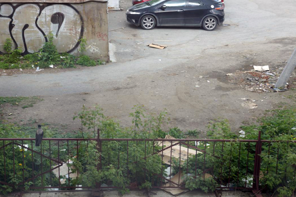 Жители дома в центре Екатеринбурга утопают в мусоре. УК, минобр и коммерсанты не могут поделить ответственность за уборку двора - Фото 4