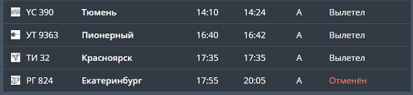 Из-за неблагоприятных метеоусловий почти на сутки задерживают рейс из аэропорта Кольцово - Фото 4