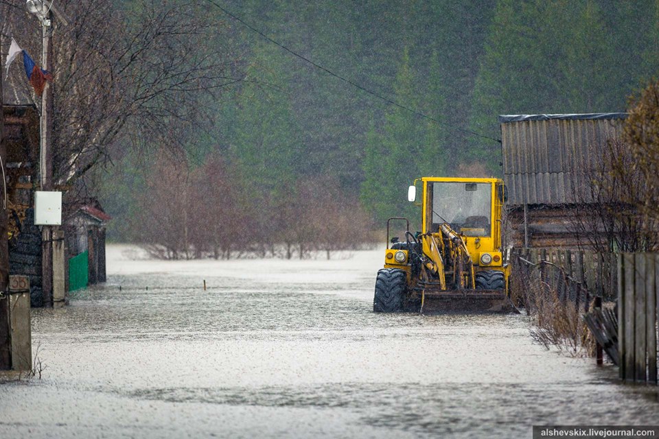 Свердловскую область смывает половодье. Уйти под воду готовятся Нижний Тагил, Красноуфимск и окрестности Серова. ФОТО - Фото 5