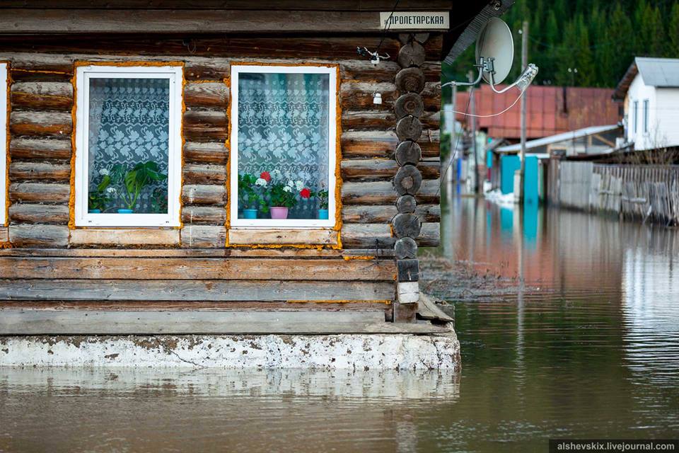Свердловскую область смывает половодье. Уйти под воду готовятся Нижний Тагил, Красноуфимск и окрестности Серова. ФОТО - Фото 6