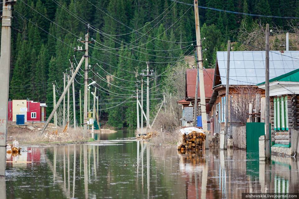 Свердловскую область смывает половодье. Уйти под воду готовятся Нижний Тагил, Красноуфимск и окрестности Серова. ФОТО - Фото 7