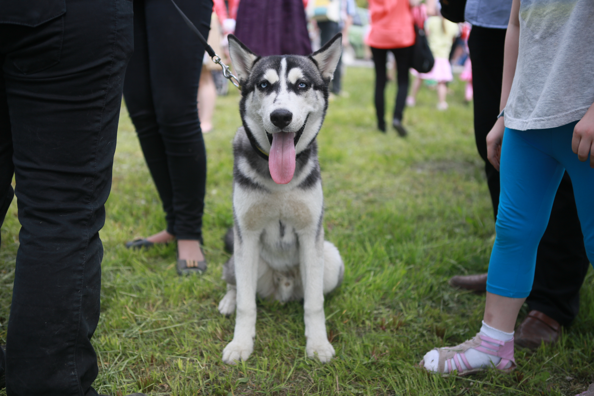 В День защиты детей юные жители Екатеринбурга прогулялись по городу из 15 тысяч надувных шаров - Фото 4