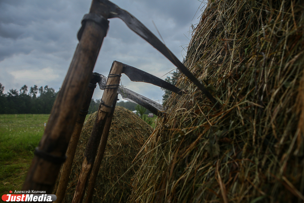 «Льготный кредит может помочь маленьким фермерам». Уральские аграрии высоко оценили предложение Медведева о кредитах с господдержкой - Фото 2