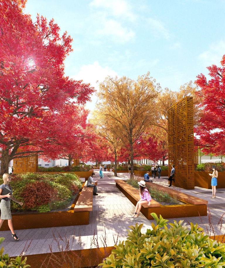 В Екатеринбурге сквер перед «Пассажем» превратится в первый кленовый парк. ФОТО - Фото 4