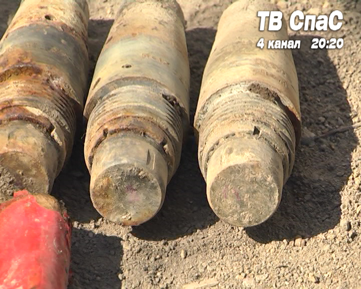 Садовод нашел пакет с боеприпасами - Фото 5