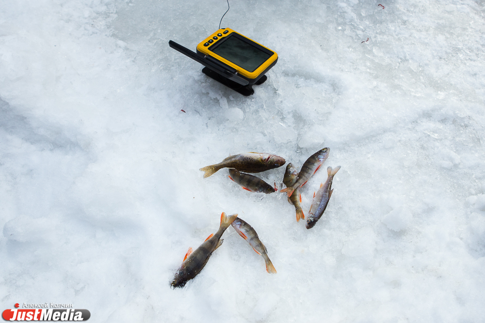 В центре Екатеринбурга британский певец превратился в уральского рыбака - Фото 6