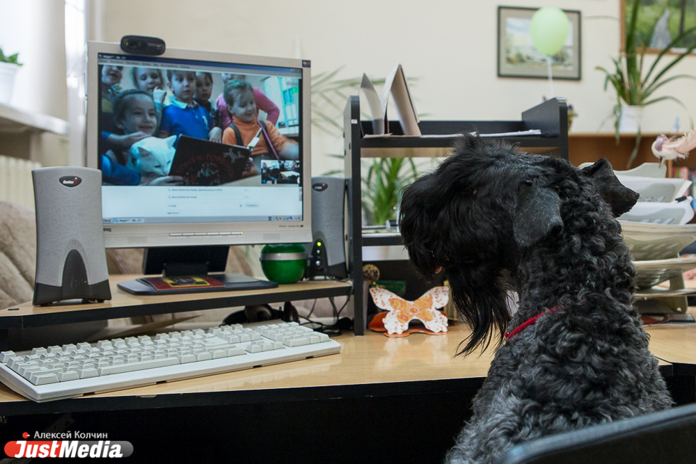 В местной библиотеке собака читает книги вместе с детьми и взрослыми - Фото 2