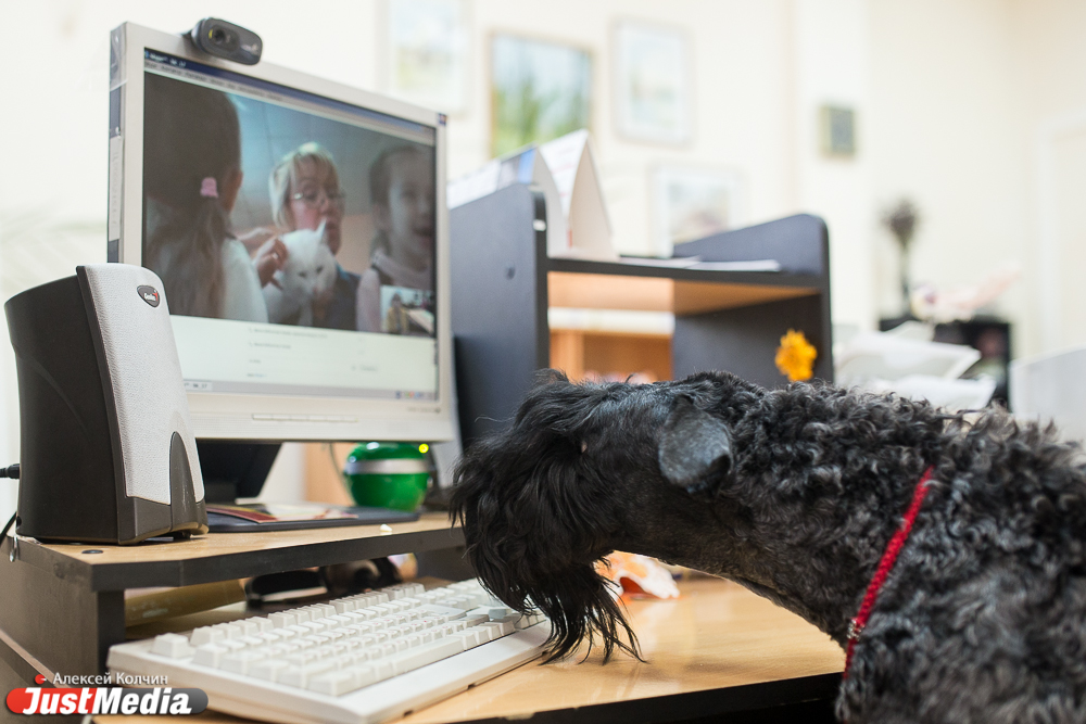 В местной библиотеке собака читает книги вместе с детьми и взрослыми - Фото 3