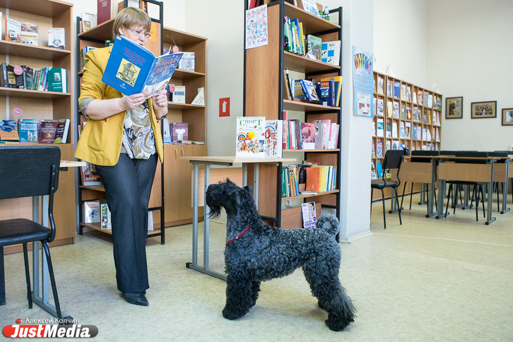 В местной библиотеке собака читает книги вместе с детьми и взрослыми - Фото 4