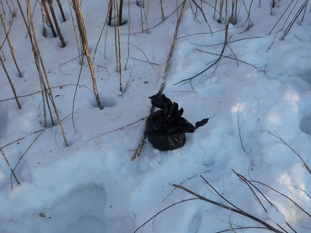 Наркополицейские изъяли у двух жителей Сысертского района 5 кг гашиша - Фото 3