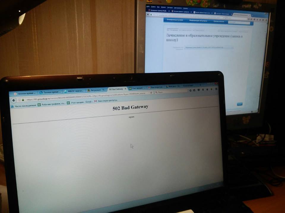 В Екатеринбурге родители первоклашек с ночи штурмуют школы и сайт госуслуг - Фото 4