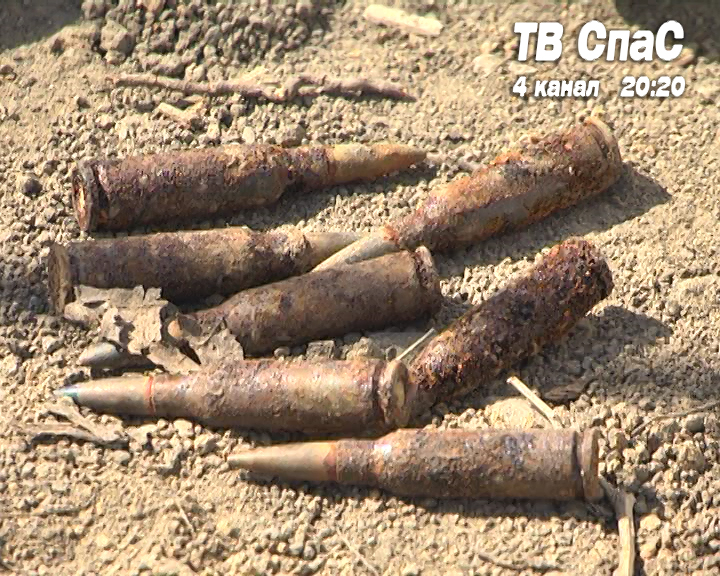 Садовод нашел пакет с боеприпасами - Фото 6