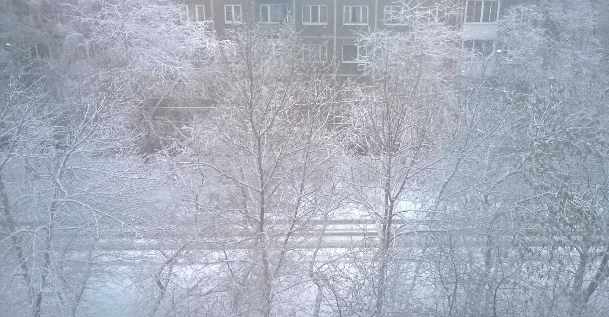«То чувство, когда засыпал в марте, а проснулся в декабре». Екатеринбуржцы «запорошили» соцсети снегопадом. ФОТО - Фото 2
