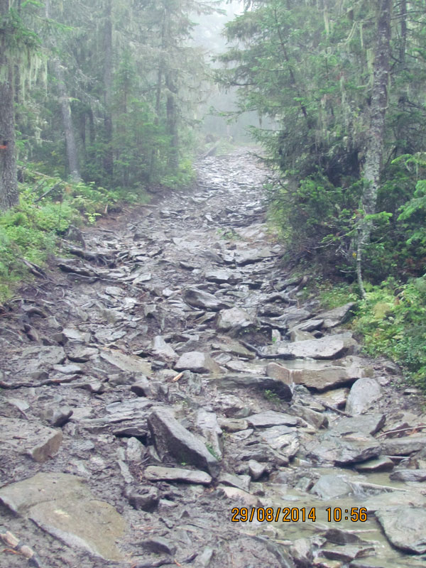 «Нас не покидало чувство тревоги и глубокого одиночества». Четверо екатеринбуржцев покорили перевал Дятлова. ФОТО. ВИДЕО - Фото 5