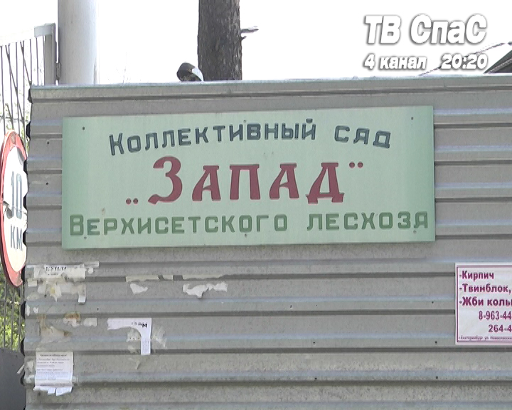 Садовод нашел пакет с боеприпасами - Фото 2