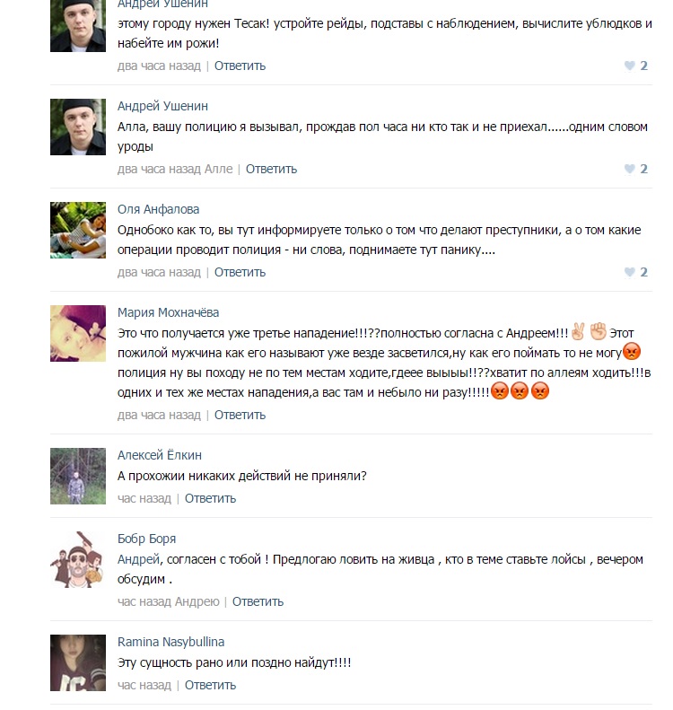 «Сволочь!!! Как тебя только земля носит!!!» Жители Новоуральска шокированы очередным нападением на школьницу и собирают отряд из добровольцев по поиску маньяка - Фото 3