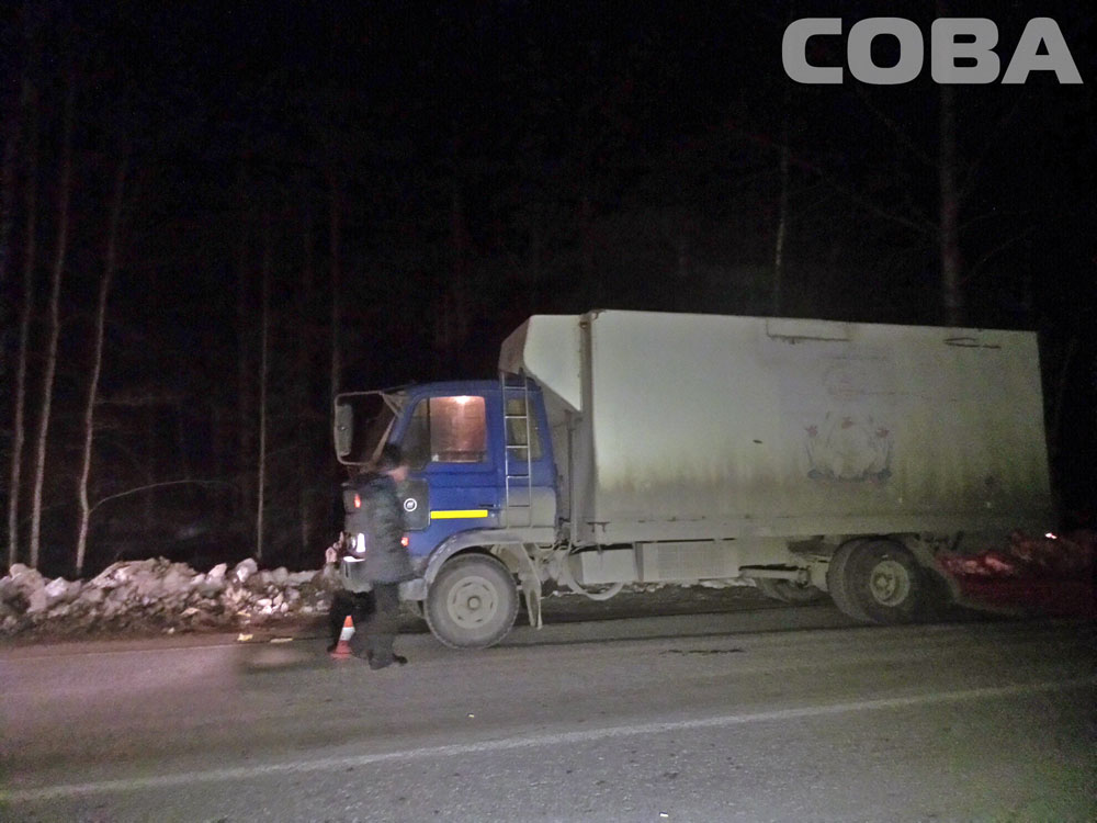 Возле Ганиной Ямы отчаянный пешеход попытался перебежать дорогу перед фурой, но не успел. ФОТО - Фото 3