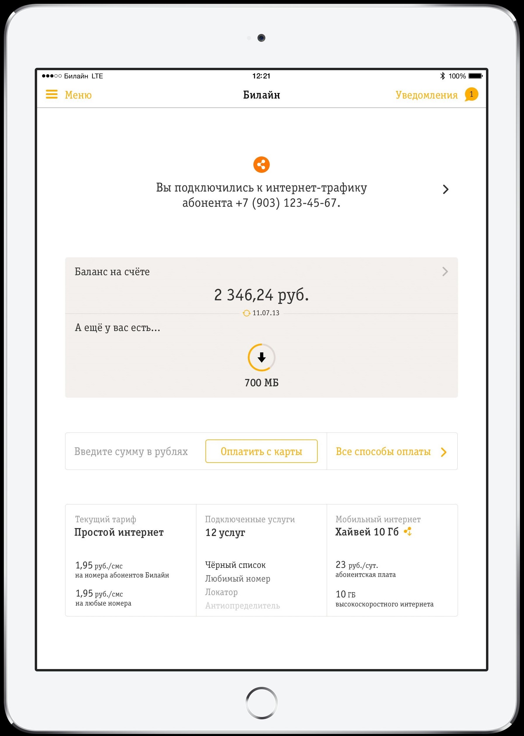 «Мой Билайн» поделит Интернет на все - Фото 3