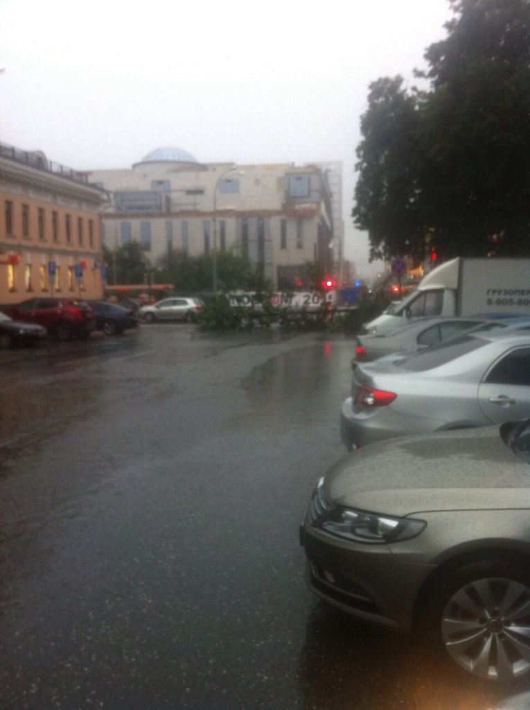 Езда с преградами. Дороги и тротуары Екатеринбурга завалило деревьями. ФОТО - Фото 3