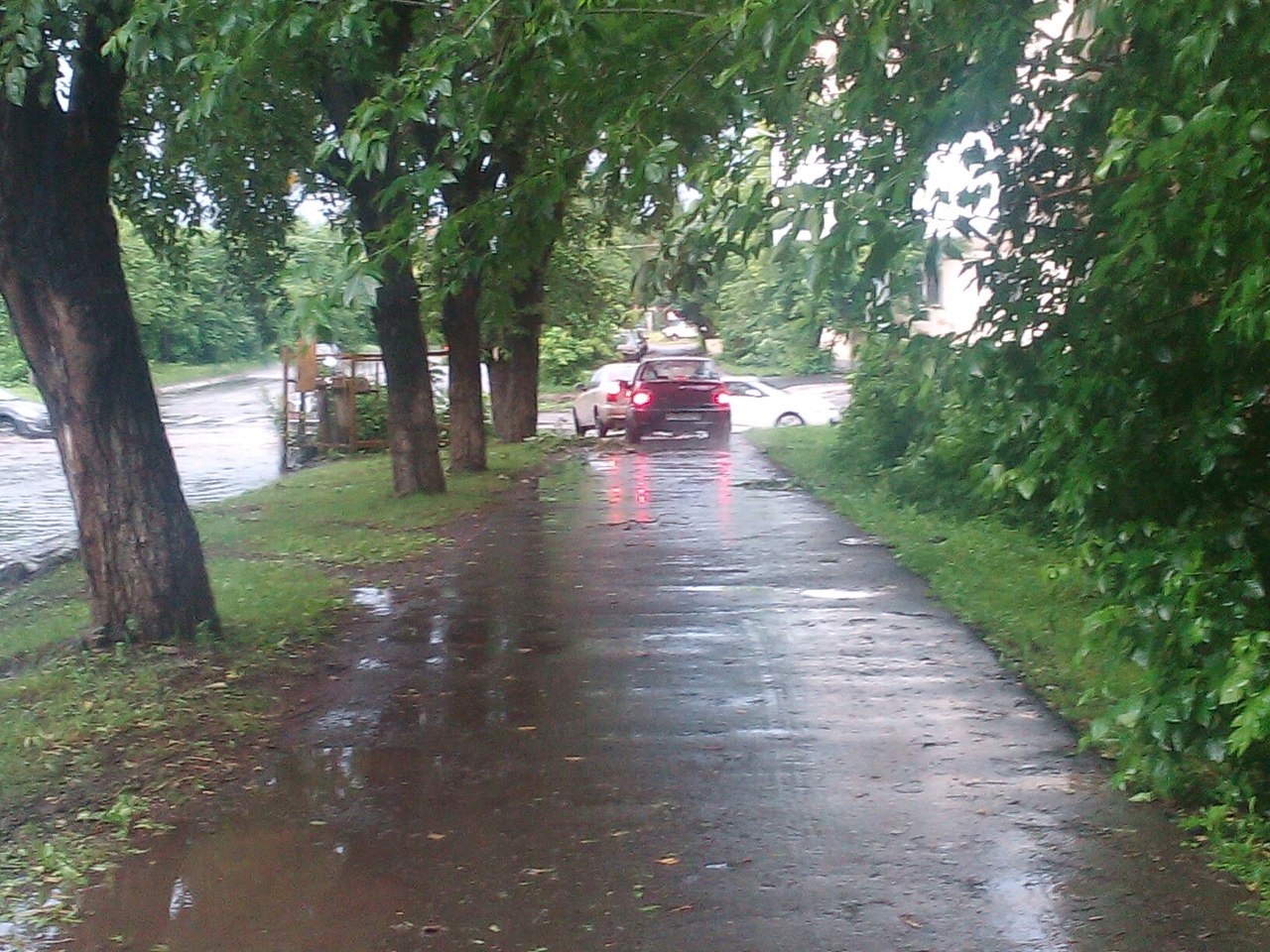 Езда с преградами. Дороги и тротуары Екатеринбурга завалило деревьями. ФОТО - Фото 8