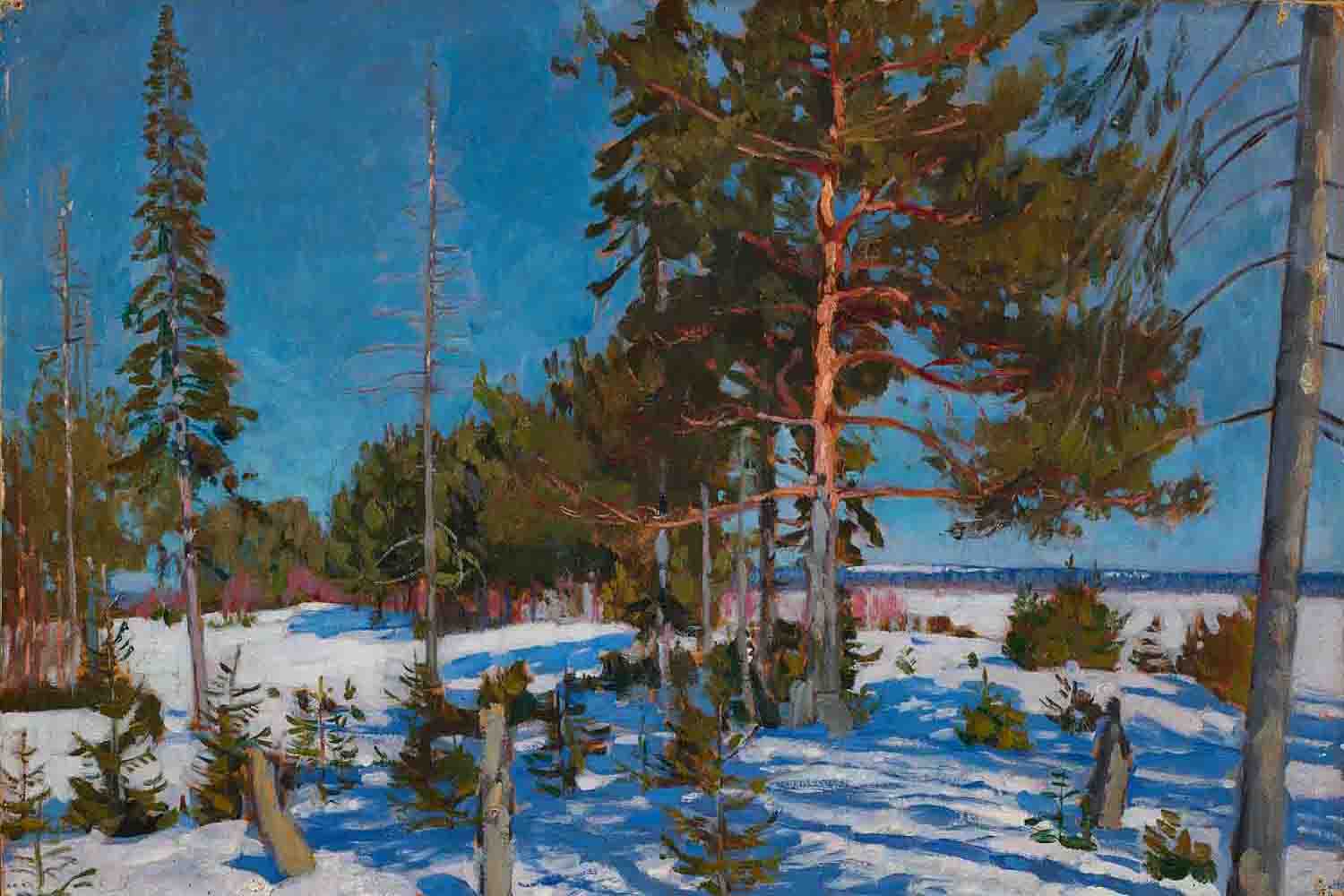 Жуковский картины. Станислав Юлианович Жуковский (1873 – 1944).. Станислав Юлианович Жуковский зима. Живопись Станислав Юлианович Жуковский. Жуковский Станислав Юлианович картины зима.