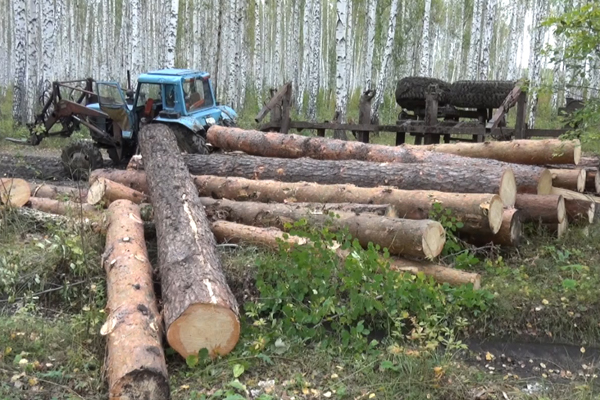 В Каменском районе опрокинувшийся прицеп с лесом убил человека - Фото 2