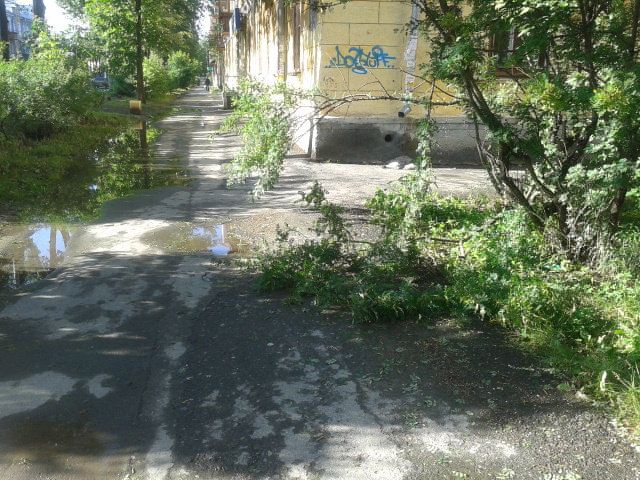 Прогулки с препятствиями! С тротуаров Уралмаша до сих пор не убрали поваленные деревья - Фото 2