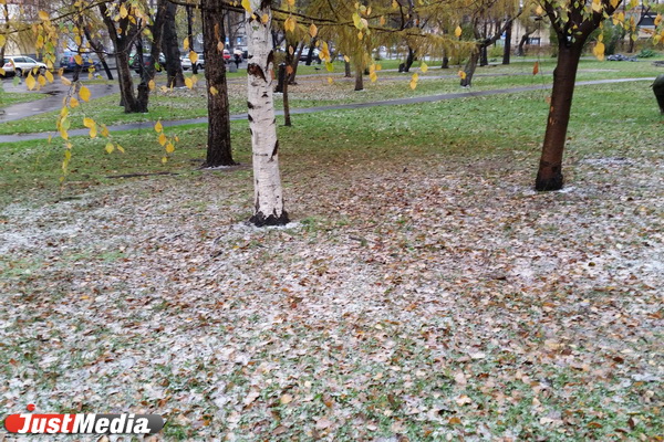 Екатеринбург засыпало первым снегом. ФОТО - Фото 5