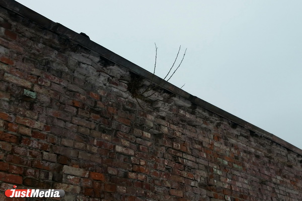 Обвалившаяся стена МУПа на «Овощебазе №4» искалечила екатеринбуржца - Фото 11