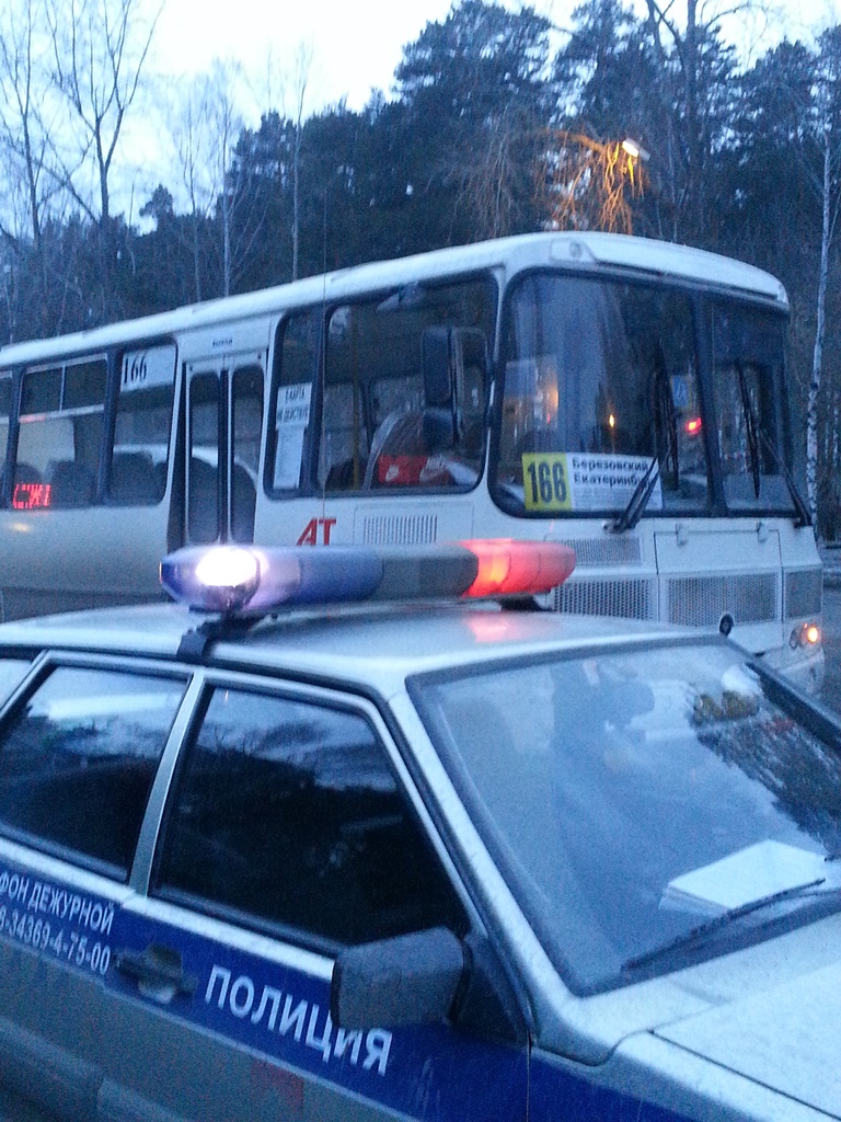 В Березовском водитель автобуса насмерть сбил пятилетнюю девочку - Фото 2