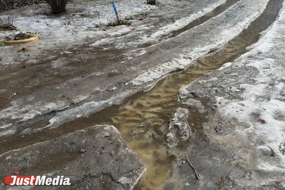Шаг влево, шаг вправо - говно! Разбираемся с экспертами, как «разминировать» дворы Екатеринбурга от собачьих фекалий . ФОТО, ВИДЕО - Фото 9