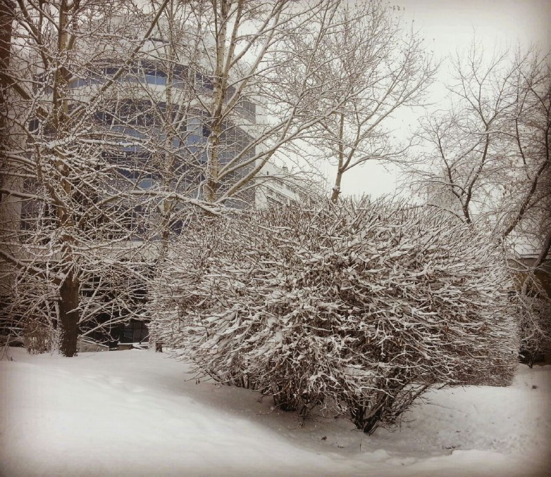 «То чувство, когда засыпал в марте, а проснулся в декабре». Екатеринбуржцы «запорошили» соцсети снегопадом. ФОТО - Фото 13