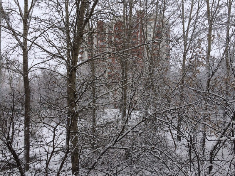 «То чувство, когда засыпал в марте, а проснулся в декабре». Екатеринбуржцы «запорошили» соцсети снегопадом. ФОТО - Фото 11
