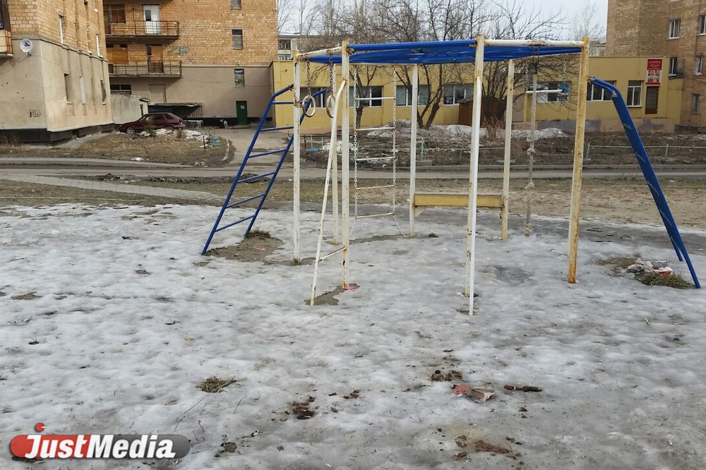 Шаг влево, шаг вправо - говно! Разбираемся с экспертами, как «разминировать» дворы Екатеринбурга от собачьих фекалий . ФОТО, ВИДЕО - Фото 7