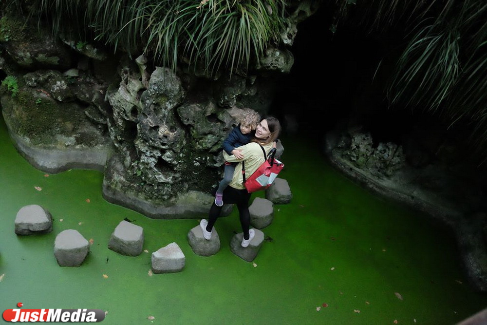 Фрилансер Елена Маркевич: «Мы любим зиму в Екатеринбурге, но еще больше – зиму в Португалии». На Урале всего -3 и светит солнце. ФОТО, ВИДЕО - Фото 6