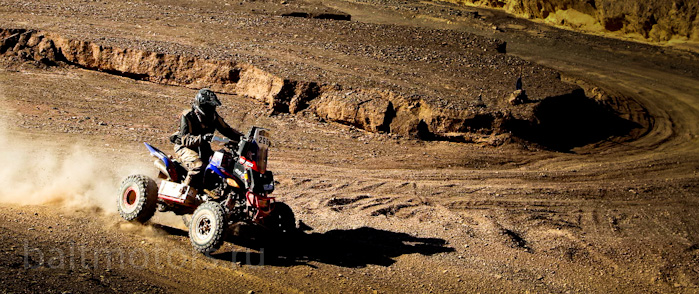 Квадроциклист из Екатеринбурга впервые выиграл этап Dakar-2014 - Фото 3