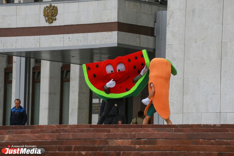 Кусок арбуза и морковка подрались у здания полпредства  - Фото 3