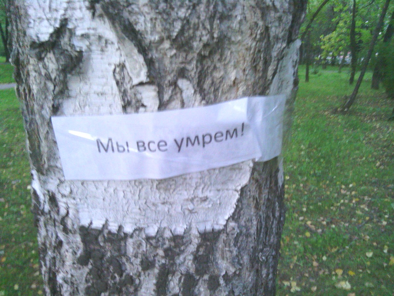 В Екатеринбурге деревья взбунтовались против строительства дороги к ЧМ-2018 - Фото 4