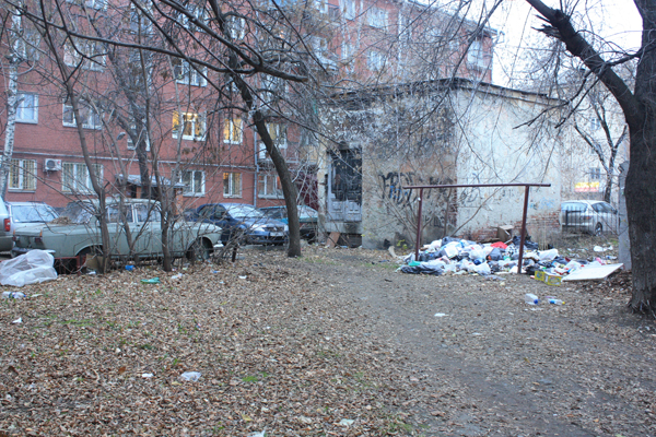 Крысы и бездомные собаки облюбовали помойку в самом центре Екатеринбурга - Фото 2