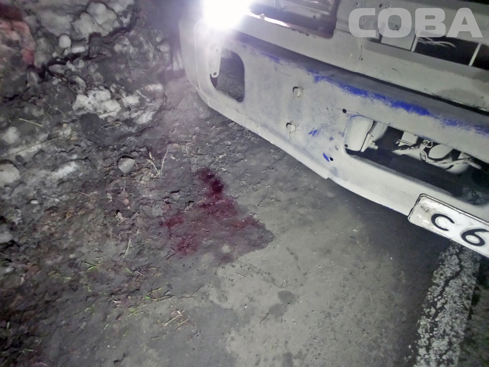 Возле Ганиной Ямы отчаянный пешеход попытался перебежать дорогу перед фурой, но не успел. ФОТО - Фото 4