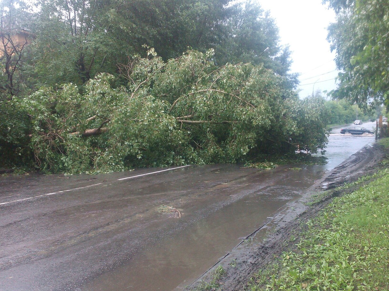 Езда с преградами. Дороги и тротуары Екатеринбурга завалило деревьями. ФОТО - Фото 9