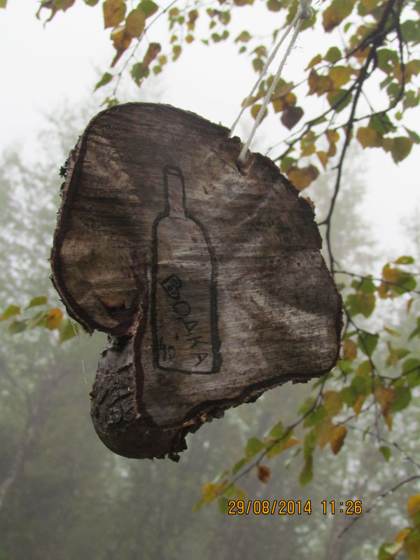 «Нас не покидало чувство тревоги и глубокого одиночества». Четверо екатеринбуржцев покорили перевал Дятлова. ФОТО. ВИДЕО - Фото 26